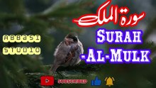 Surah Al Mulk Full | Beautiful Recitation | By Qari  Niaz  Abbasi | Best Tilawat | Abbasi Studio