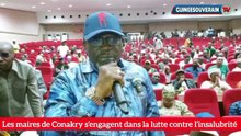 Lutte contre l’insalubrité à Conakry