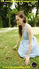 Sub EspaÑOl CompañEro Oculto Serie Completa