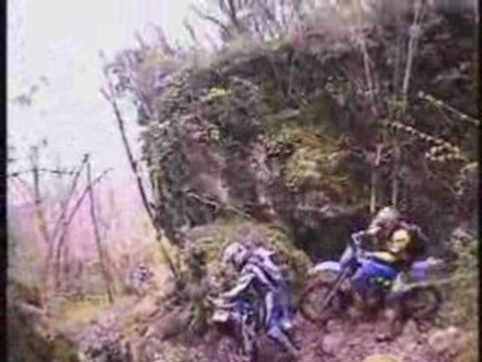evasion day's