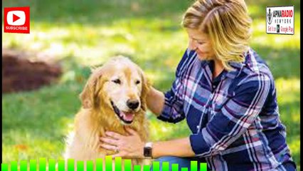 05-12-2025  کتوں سے ہمارا پیار کیوں بے مثال ہوتا ہے؟