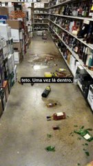 Guaxinim bêbado é encontrado desmaiado em banheiro de loja de bebidas nos EUA