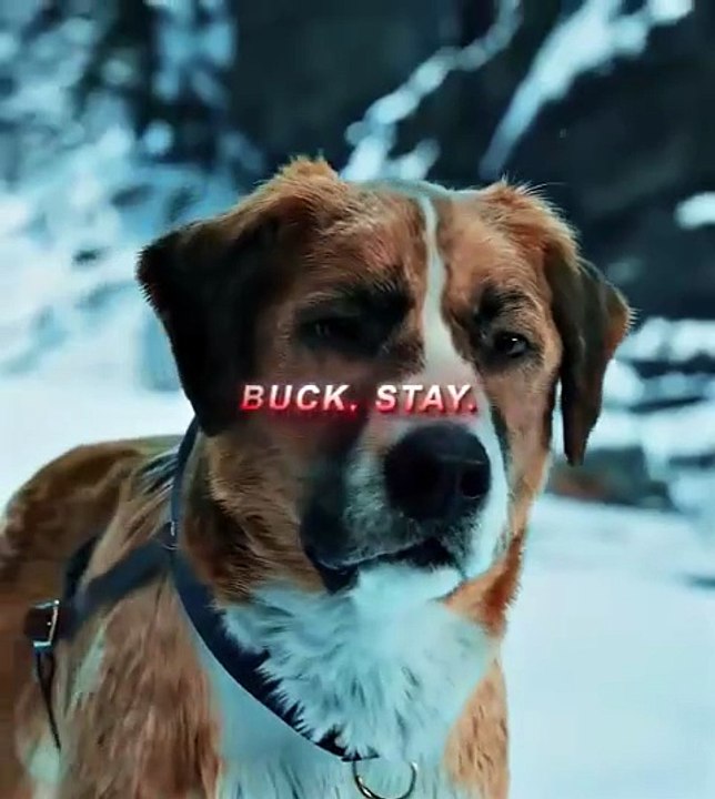 Dog help to owners #dog