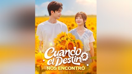 Mi Sistema Divino De Gorda A Diosa Episodio Completo