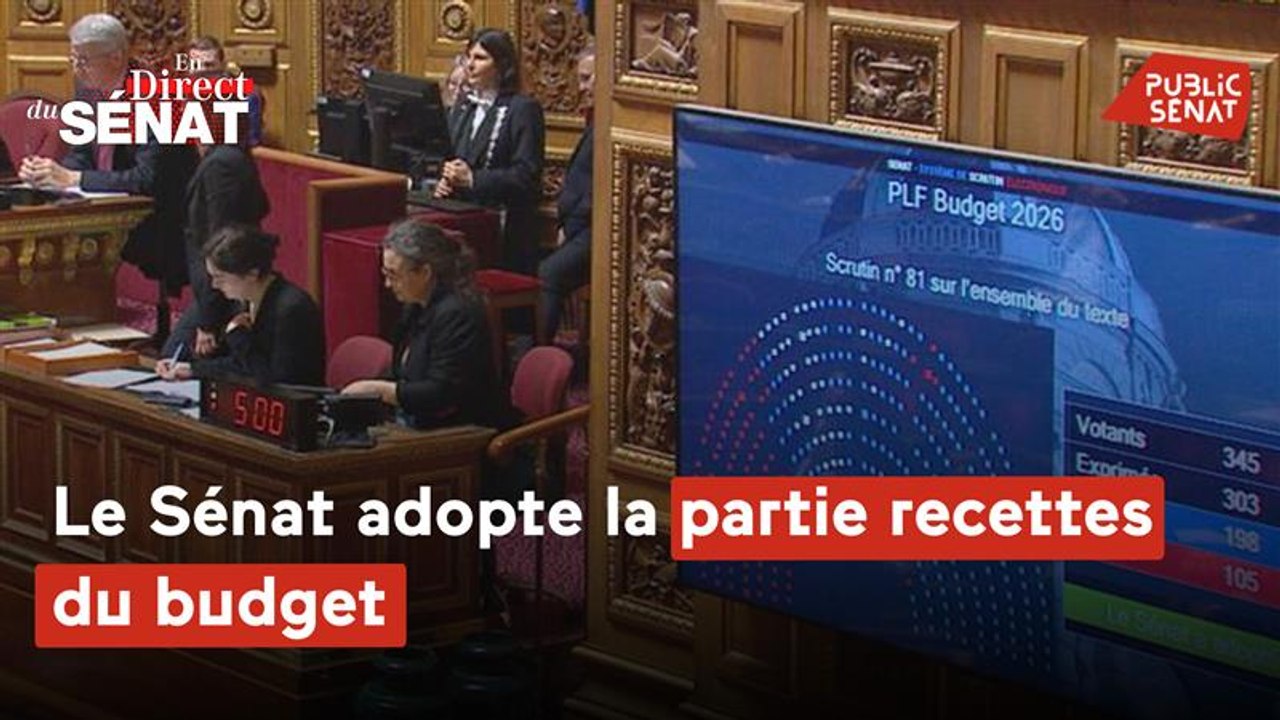 En direct du Sénat - Le Sénat adopte la partie recettes du budget