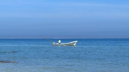 Mérida es sede del Summit Latinoamericano de Sostenibilidad Pesquera 2025