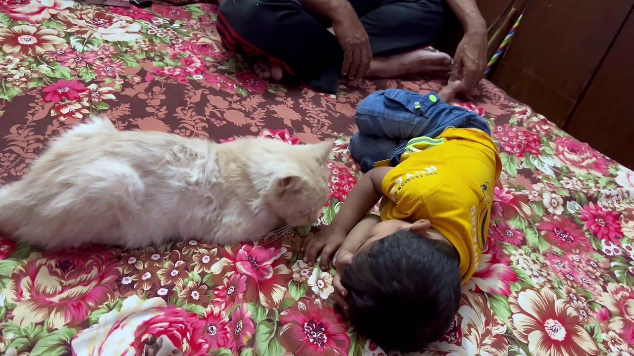pet lover