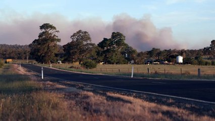 Man extradited from Victoria to Northern Territory over 2020 death of partner