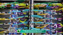 Aposta do Google pode reduzir impacto ambiental de data centers