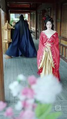 الجمال البري المروض