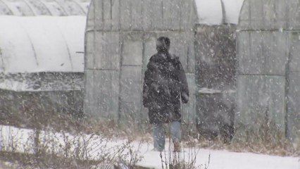 [날씨] 눈비 얼어붙으며 '미끄럼 비상'...낮부터 영상권 회복 / YTN