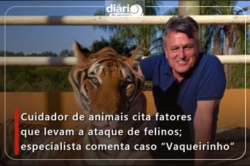 Cuidador de animais cita fatores que levam a ataque de felinos; especialista comenta caso “Vaqueirinho”