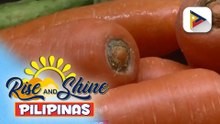 Maximum SRP sa karneng baboy at carrots, epektibo na ngayong araw