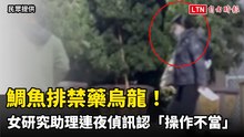鯛魚排禁藥烏龍！ 女研究助理連夜偵訊認「操作不當」