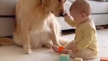 Happy moments between a little baby and a cute dog playing together! 🐶👶❤️ Enjoy the love and fun that babies and pets bring! #baby #dog #ai #puppy