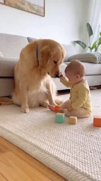 Happy moments between a little baby and a cute dog playing together! 🐶👶❤️ Enjoy the love and fun that babies and pets bring! #baby #dog #ai #puppy