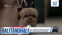 Fur baby na tila naiinip habang pinapalamig ang kaniyang pagkain, kinaaliwan online | Balitanghali