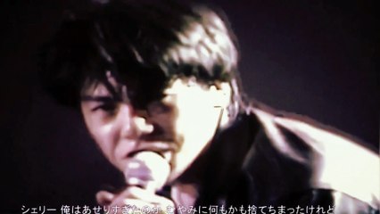 尾崎豊 シェリー / YOYOGI L.T.A 1985/11/14 SHELLY YUTAKA OZAKI