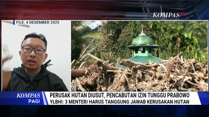 Menhut akan Cabut Izin 20 Perusahaan Pengelola Hutan Sumatera, YLBHI: 3 Menteri Tanggung Jawab!