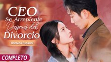 CEO Se Arrepiente Después del Divorcio