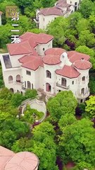 Through You, Even Darkness Blooms