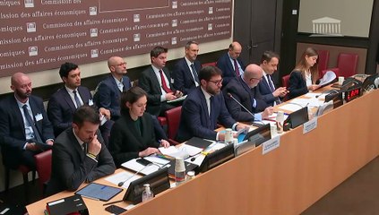 Commission des affaires économiques : M. Vincent Jeanbrun, ministre de la Ville et du Logement  - Jeudi 4 décembre 2025