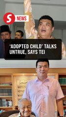 Albert Tei rubbishes speculation on Dr M meet-up