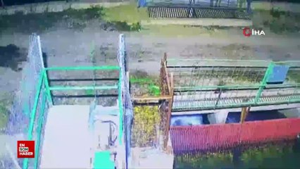 Erzincan'da ayılar kış uykusuna yatamadı mevsimler değişti