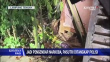 Jadi Pengendar Narkoba, Pasutri Ditangkap Polisi
