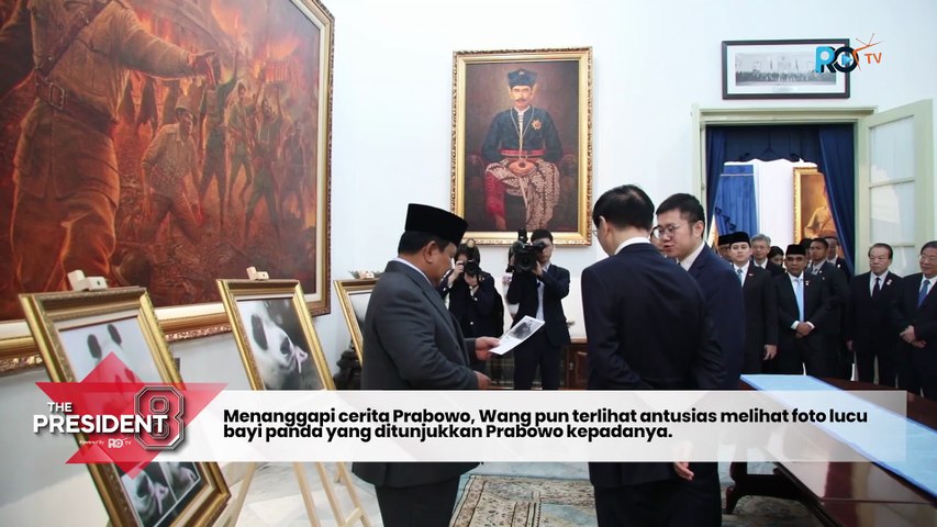 Satrio, Panda Pertama yang Lahir di Indonesia Setelah 10 Tahun Jadi Sorotan di Pertemuan Prabowo dan MPR China