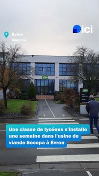 Une classe en immersion dans l'usine Socopa d'Évron