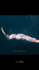 Allah ki mohabat k sewa har mohabat ko zawal hy