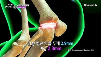 라이스페이퍼 롤이 무릎 관절 건강의 힌트?