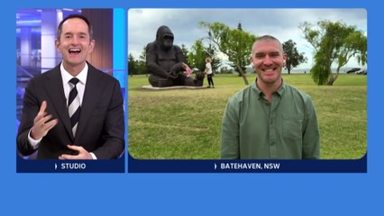Large gorilla sculpture installed in Batemans Bay Park divides opinion