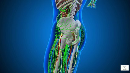 “CAR-T Therapy The Immune System ‘Reboot’ That Helps Your Body Fight Cancer Naturally”