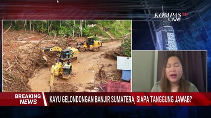 Blak-Blakan! WALHI Soroti Janji Kemenhut Buntut Banjir Sumatera, Desak Menhut Raja Juli Mundur?