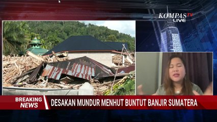 Desakan WALHI Soal Evaluasi UU Kehutanan Buntut Banjir Sumatera: Harus Total, Bukan Parsial!