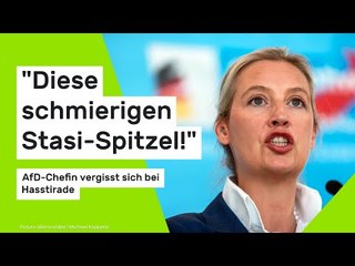 Alice Weidel: AfD-Chefin vergisst sich bei Hasstirade