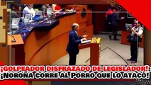 🔥🚨¡GOLPEADOR DISFRAZADO DE LEGISLADOR! ¡NOROÑA CORRE al GATO de ALITO y NARKO PORRO que lo GOLPEÓ!