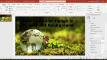 How to Add an Image in PowerPoint Background