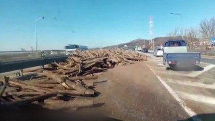 충남 아산 화물차 적재함서 나무 쏟아져...한때 정체 / YTN