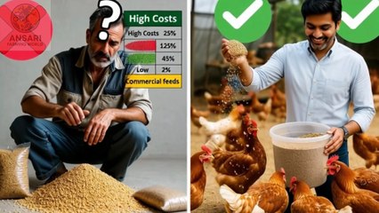 💰 15,000 Poultry Farm Mein Earning ka Secret Formula 🐔 + 90% Log Karte Hain Ye 5 Big Mistakes❌ #anas