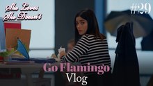 Go Flamingo Vlog #29