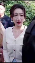 Heiress's Vendetta Chinese Drama