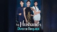 My Husband's Divorce Request English Sub