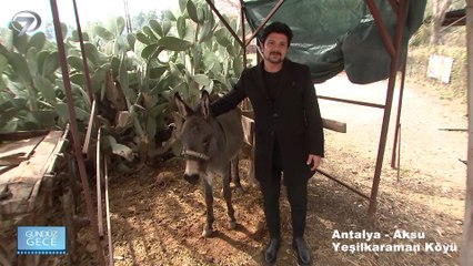 Gündüz Gece – Kolaj | 6 Aralık 2025