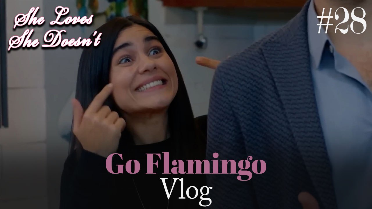 Go Flamingo Vlog #28