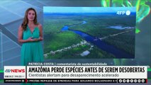 Amazônia perde espécies antes de serem descobertas; Patrícia Costa comenta