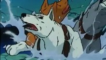 🐺🌲 L’Appel de la Forêt (1981) | Dessin Animé Complet en Français