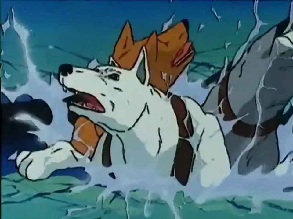 🐺🌲 L’Appel de la Forêt (1981) | Dessin Animé Complet en Français